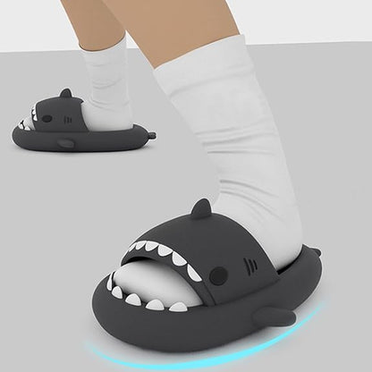 Shark Slides