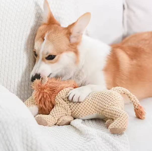 DuraChew™ Indestructible Dog Toy