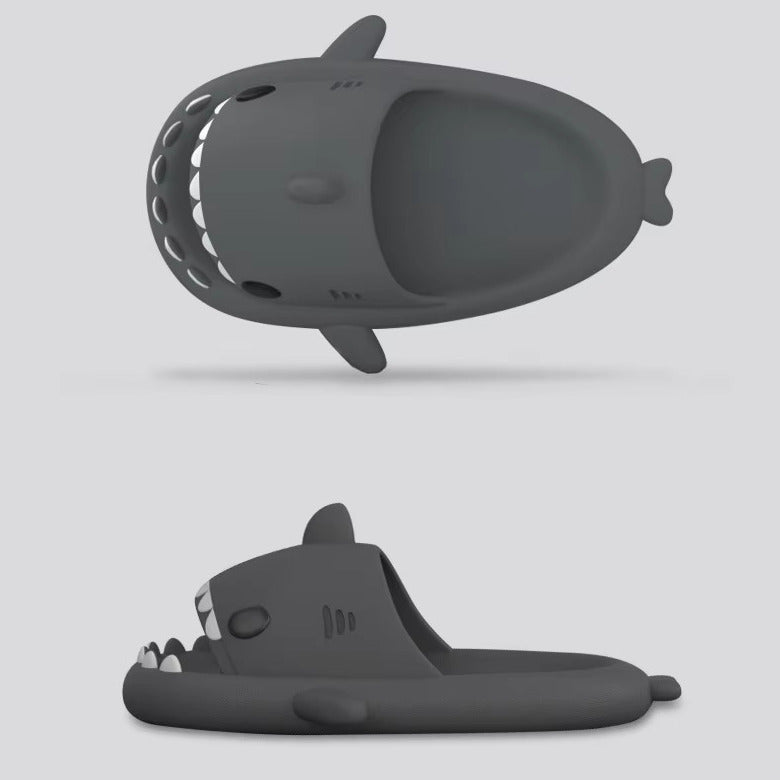 Shark Slides